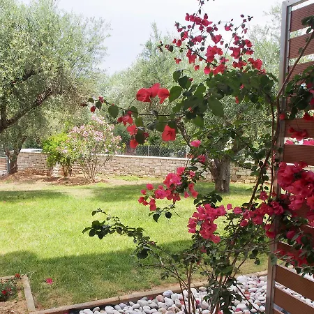 Lejlighedshotel Lena Mare 4*