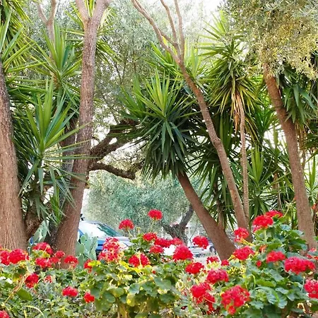 Lena Mare Апарт-отель